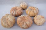 Collection of six terracotta pumpkin decorations Online Hot Sale