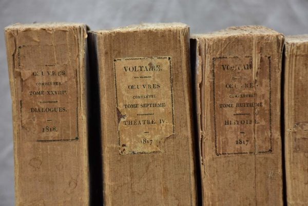 Collection of 19th and early 20th Century books - Voltaire, philosophy and psychology For Discount