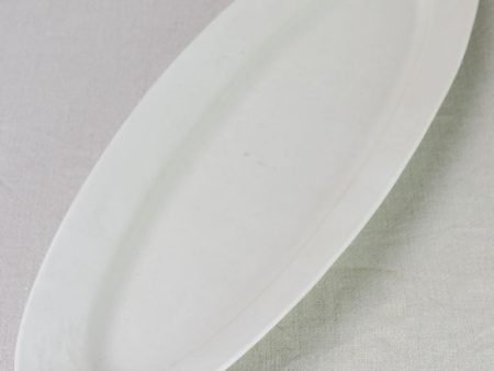 Napoleon III porcelain fish platter 23¼  Hot on Sale