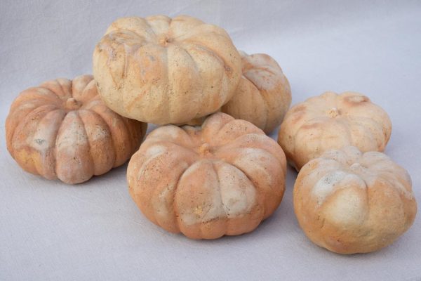 Collection of six terracotta pumpkin decorations Online Hot Sale