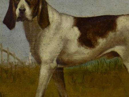 19th Century English painting of a hunting hound - anonymous 16½  x 12½  Online Sale