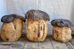 Collection of SEVEN artisan made garden stools - carved mushrooms   toadstools Fashion