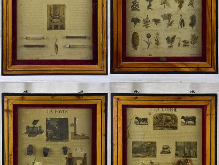 Collection of four antique framed curiosities - herbs, beer ingredients, milk and cast iron processes Discount