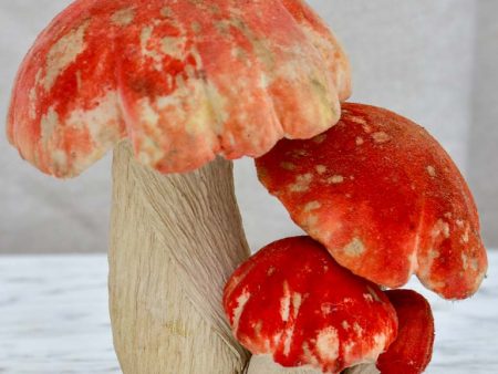 Vintage French toadstools from an epicerie Online