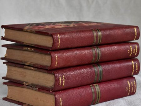 Four antique French leather bound books Online Hot Sale