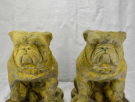 Pair of antique French garden sculptures of bulldogs 15¼  For Cheap