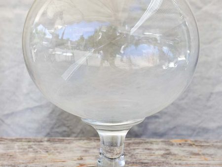 Antique French glass apothecary jar - sangsue Cheap