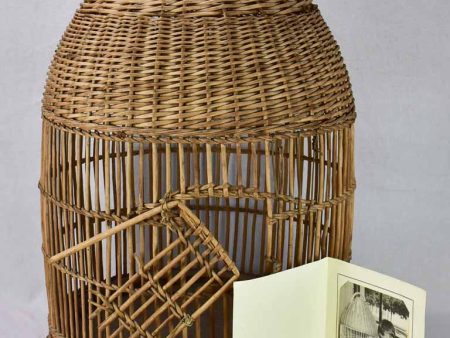 1950 s French cane birdcage with original photo 30¾  Sale