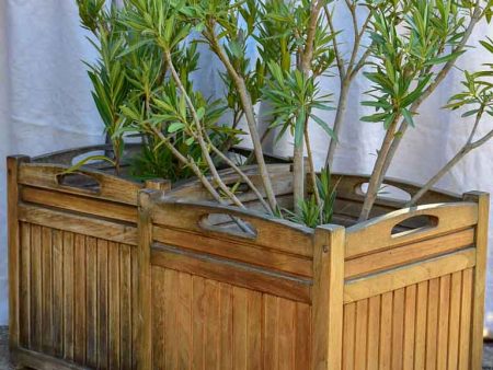 Pair of vintage French Versaille planters - teak Sale