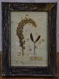 Four French pressed flower frames Sale