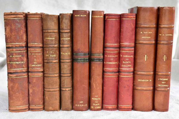 Mixed collection of ten antique French leather bound books Fashion