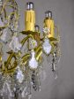 Antique French crystal chandelier - 12 lights Hot on Sale