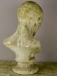 19th Century French plaster male anatomical bust For Cheap