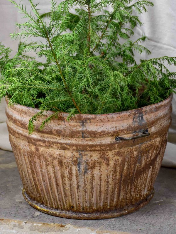 Two very large metal pot plant stands - antique French For Sale