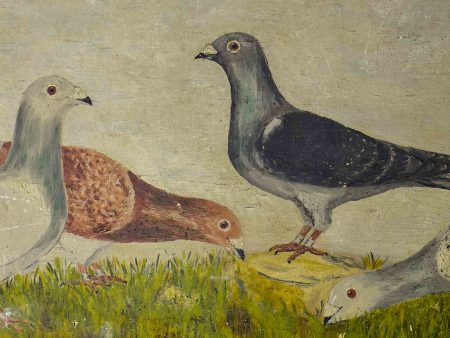 Antique French painting of pigeons 21 ¾   x 32 ¼   For Sale