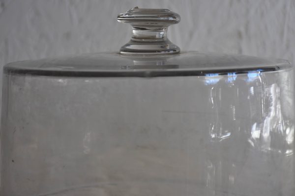 Antique French glass dome from a pâtisserie Supply