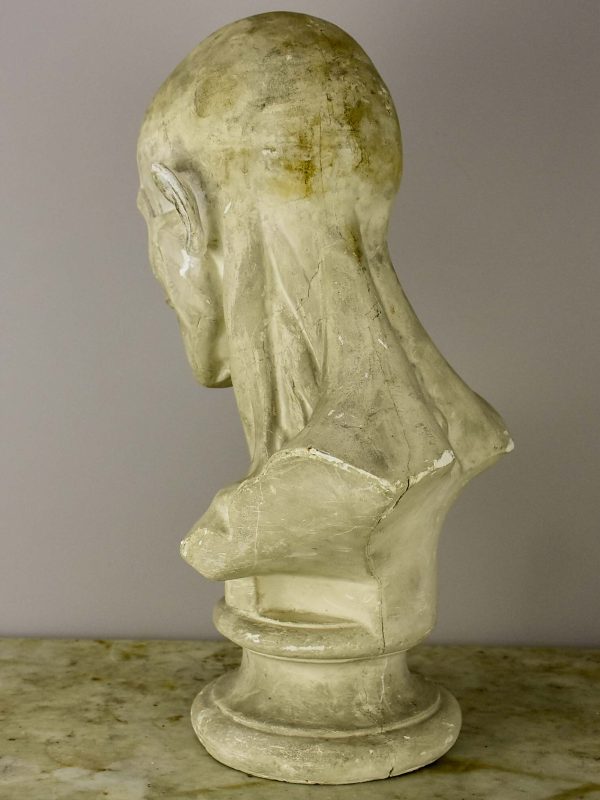 19th Century French plaster male anatomical bust For Cheap