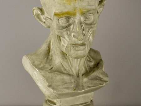 19th Century French plaster male anatomical bust For Cheap