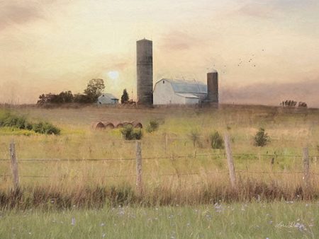 LD1843 - Sunset at the Dexter Farm      - 16x12 For Cheap